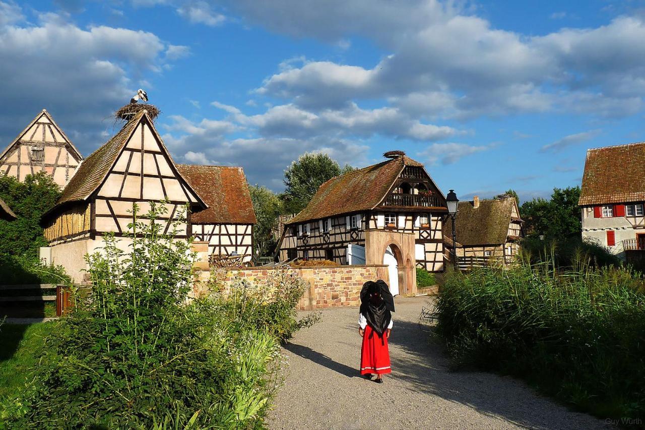 Апартаменти Chez Christian Breitenbach-Haut-Rhin Екстер'єр фото