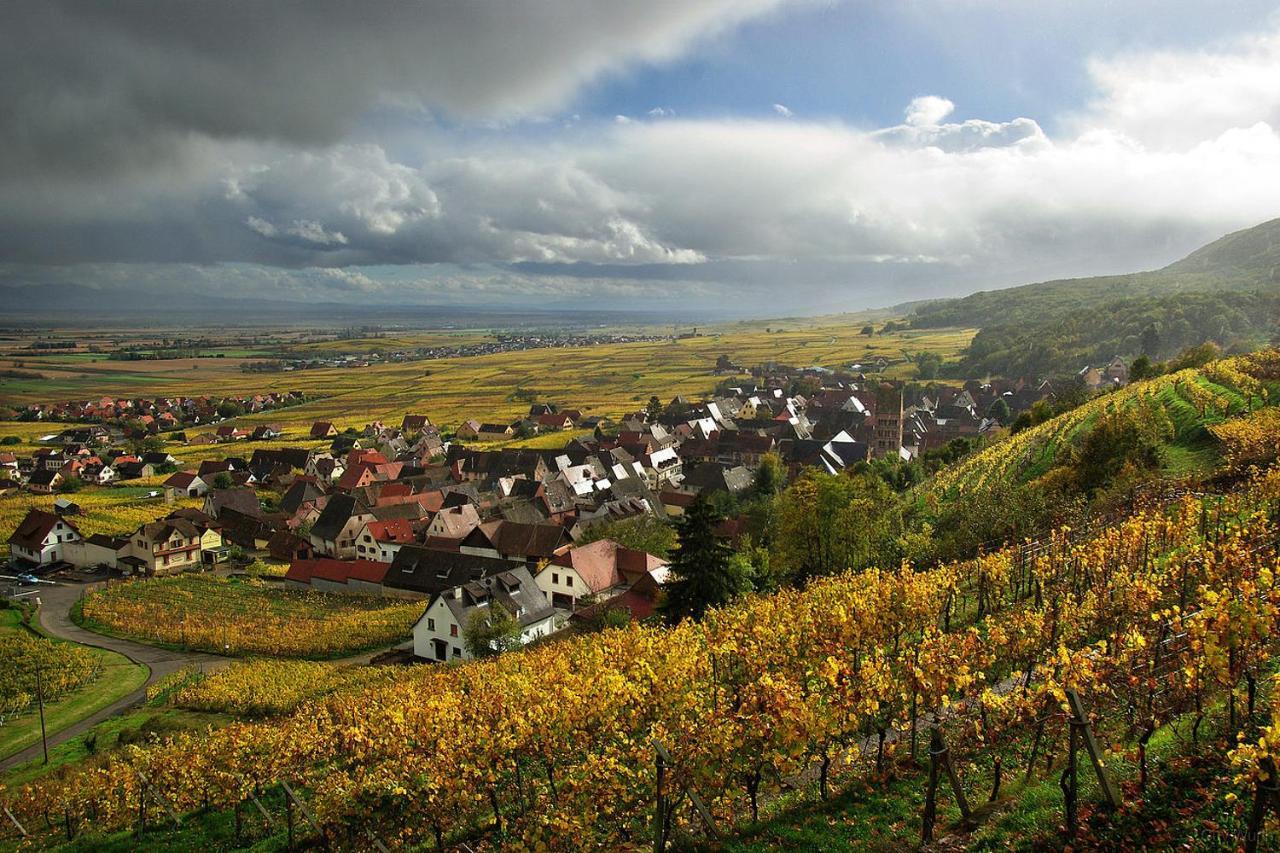 Апартаменти Chez Christian Breitenbach-Haut-Rhin Екстер'єр фото
